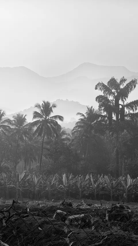 Kannur, Kerela, IN