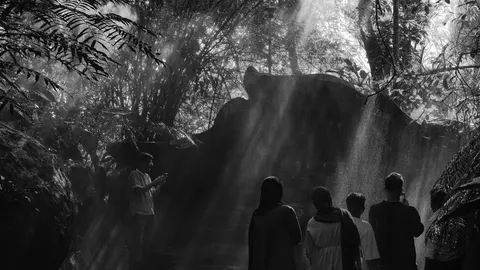 Wayanad, Kerela, IN