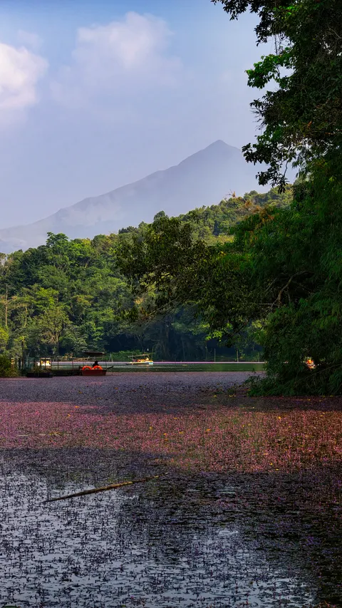 Wayanad, Kerela, IN