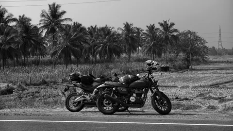 Wayanad, Kerela, IN