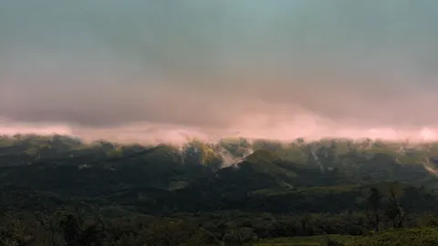 Coorg, Karnataka, IN