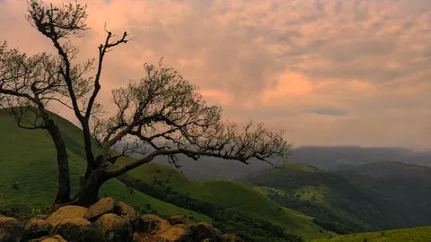 Coorg, Karnataka, IN
