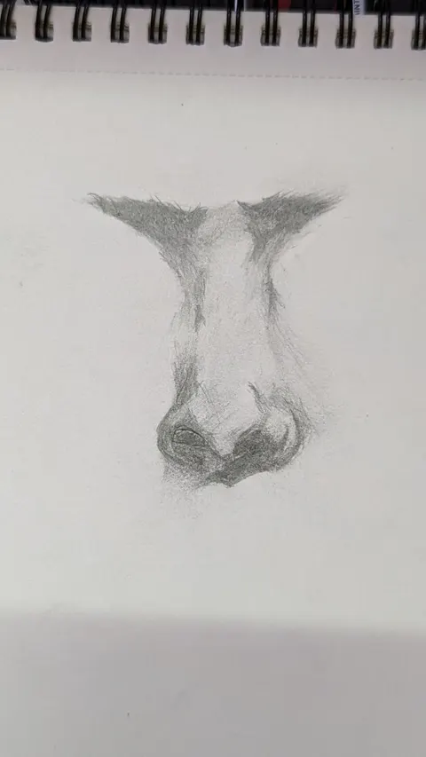 Sketch